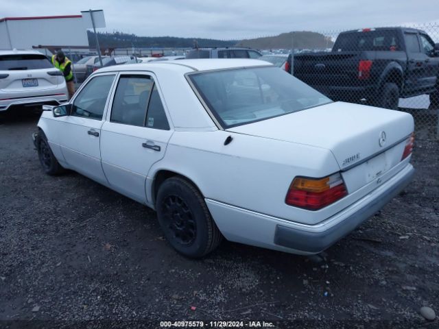 1991 MERCEDES-BENZ 300 WDBEA30D5MB376936 Photo 2