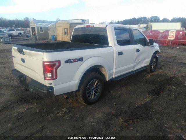 1FTEW1EF8HFA92801 Ford F-150 Xl