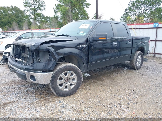 Ford F-150 Xlt 2014 1FTFW1EF3EKD01675 Image 2