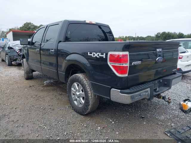 Ford F-150 Xlt 2014 1FTFW1EF3EKD01675 Image 3