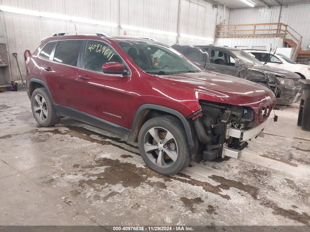 Jeep Cherokee Limited 4x4 2019 1C4PJMDX7KD445406 Image 1