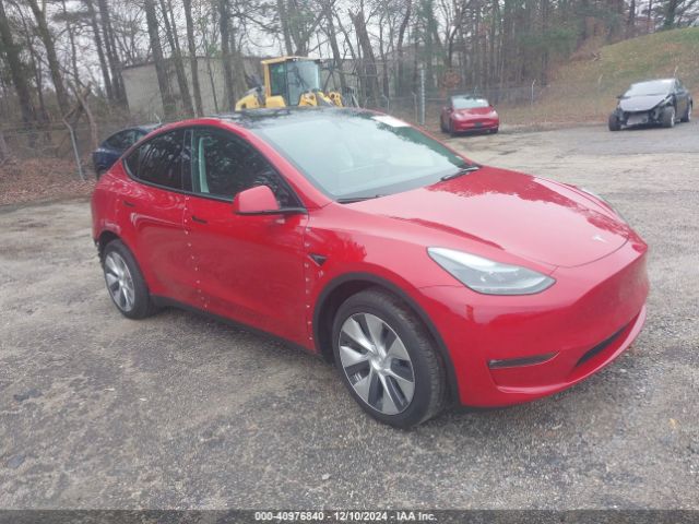 2023 TESLA MODEL Y 7SAYGDEEXPF839081 Photo 0