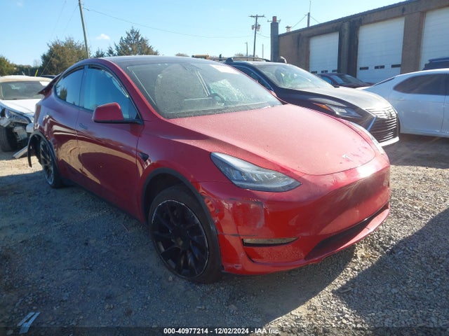 2021 TESLA MODEL Y 5YJYGDEE0MF300199 Photo 0