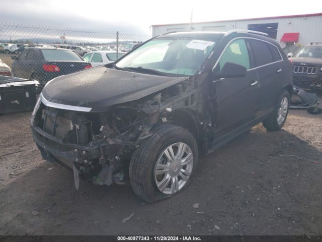 3GYFNEE32GS519110 Cadillac Srx Luxury Collection