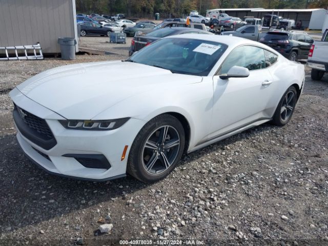 1FA6P8THXR5114891 Ford Mustang Ecoboost