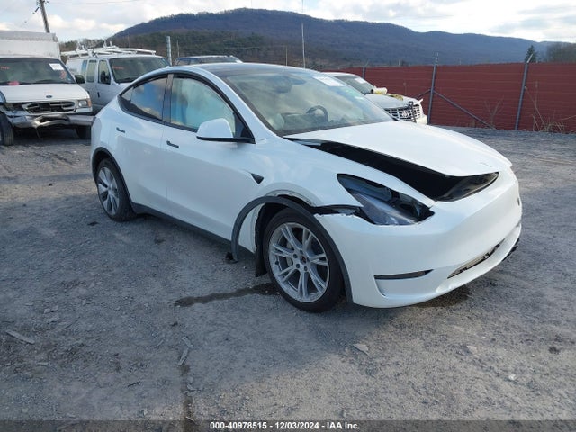 2023 TESLA MODEL Y 7SAYGDEE4PF830585 Photo 0
