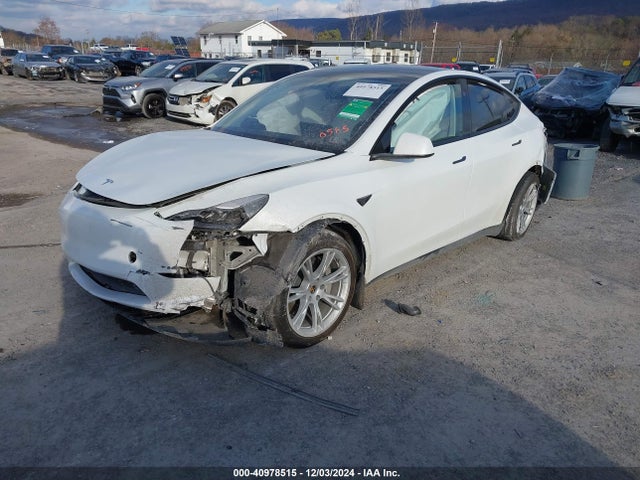 2023 TESLA MODEL Y 7SAYGDEE4PF830585 Photo 1