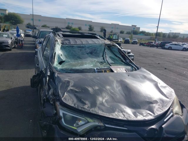 2T3WFREV3HW331762 Toyota Rav4 Xle
