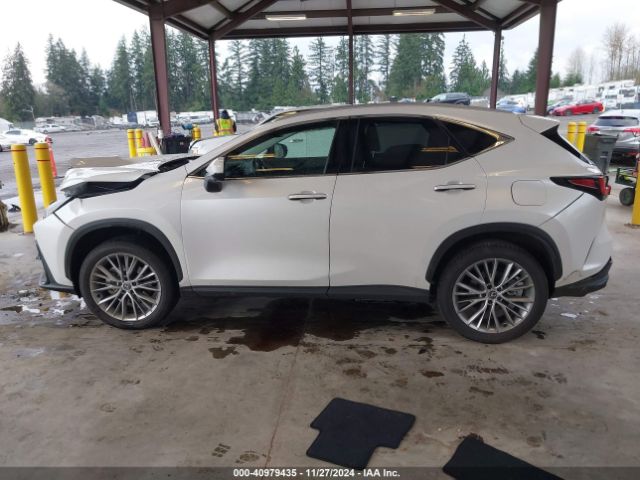 2T2HKCEZ0RC025565 Lexus Nx 350h Luxury