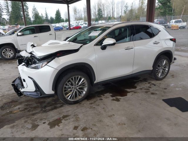 2T2HKCEZ0RC025565 Lexus Nx 350h Luxury