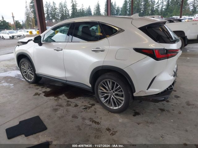 2T2HKCEZ0RC025565 Lexus Nx 350h Luxury