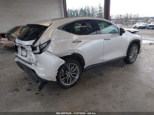 2T2HKCEZ0RC025565 Lexus Nx 350h Luxury