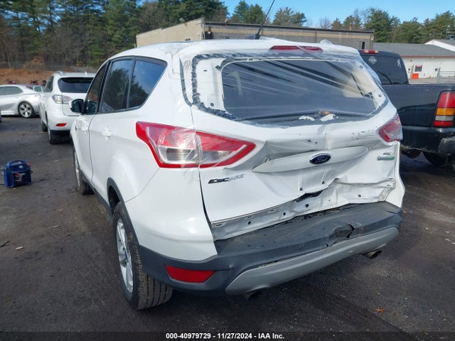 Ford ESCAPE SE 2014 1FMCU0GX2EUA73273 Image 3