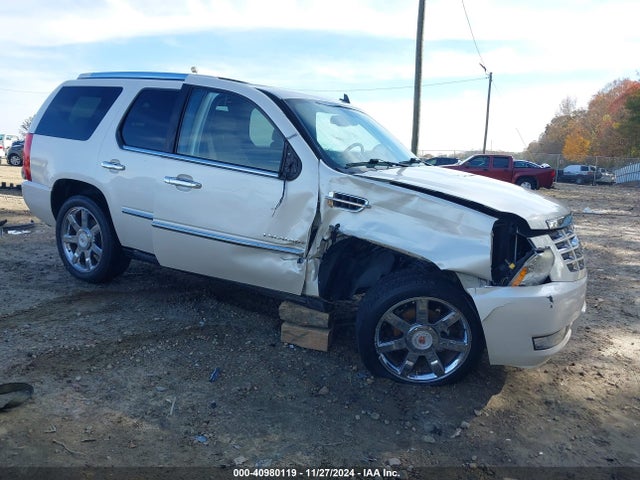 2010 CADILLAC ESCALADE 1GYUCCEF7AR160391 Photo 0