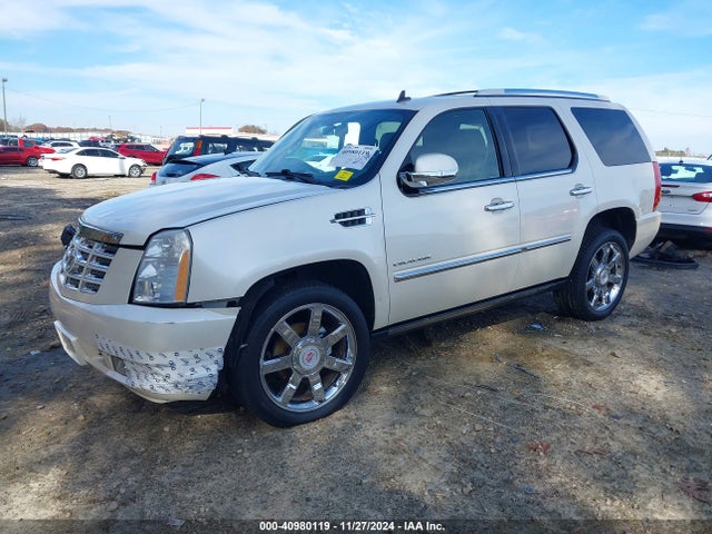 2010 CADILLAC ESCALADE 1GYUCCEF7AR160391 Photo 1