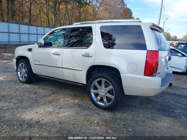 2010 CADILLAC ESCALADE 1GYUCCEF7AR160391 Photo 2