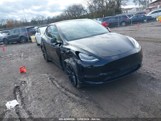 2021 TESLA MODEL Y 5YJYGDEE3MF297248 Photo 0