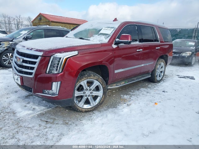 2017 CADILLAC ESCALADE 1GYS4BKJ7HR146878 Photo 1