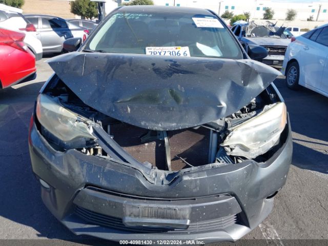 5YFBURHEXGP509837 Toyota Corolla Le Plus
