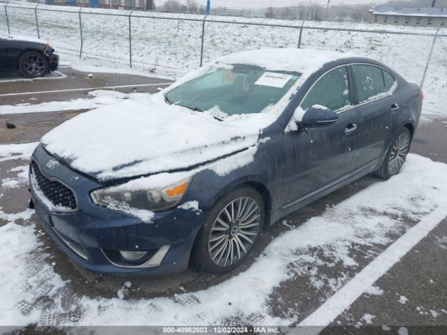 KNALN4D74E5135146 KIA Cadenza Premium