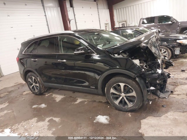 KIA Sorento 2.0t Ex 2017 5XYPHDA17HG263064 Image 13