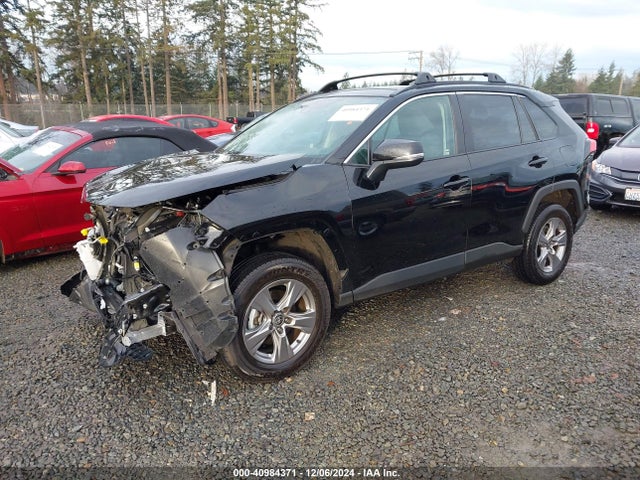 Toyota Rav4 Xle 2024 2T3P1RFVXRC404338 Image 2
