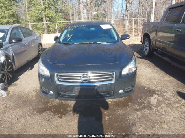 1N4AA5AP2EC497896 Nissan Maxima 3.5 Sv