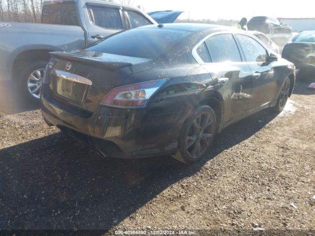 1N4AA5AP2EC497896 Nissan Maxima 3.5 Sv