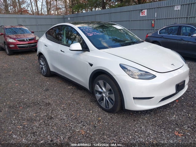 2020 TESLA MODEL Y 5YJYGDEE2LF035929 Photo 0