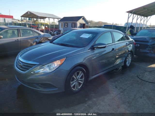 5NPEB4AC9EH888029 Hyundai SONATA GLS