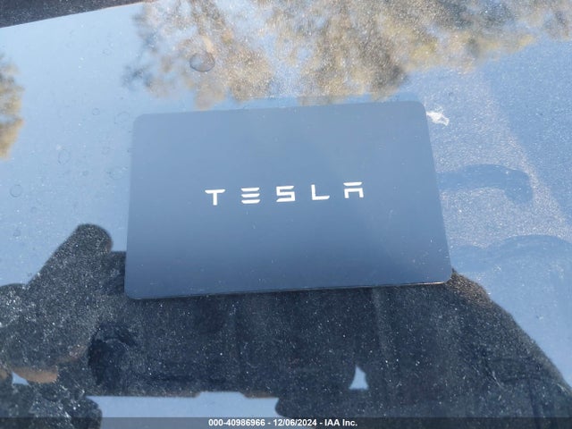 2020 TESLA MODEL 3 5YJ3E1EA6LF709009 Photo 10