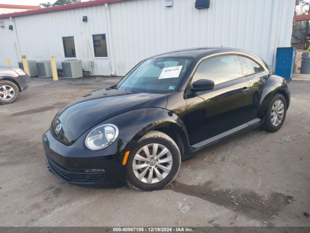 3VWF17AT1GM637041 Volkswagen Beetle 1.8t S