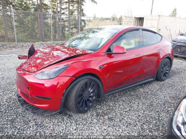 7SAYGDEF6RF023626 Tesla Model Y Performance Dual Motor All-wheel Drive