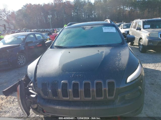 1C4PJMBS9GW179101 Jeep Cherokee Trailhawk