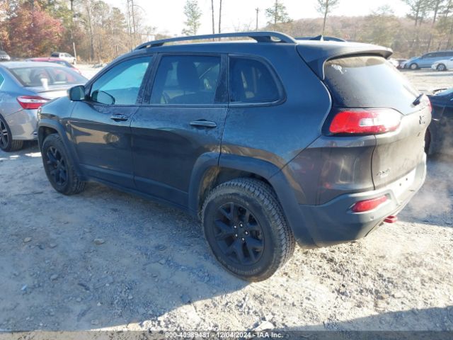 1C4PJMBS9GW179101 Jeep Cherokee Trailhawk