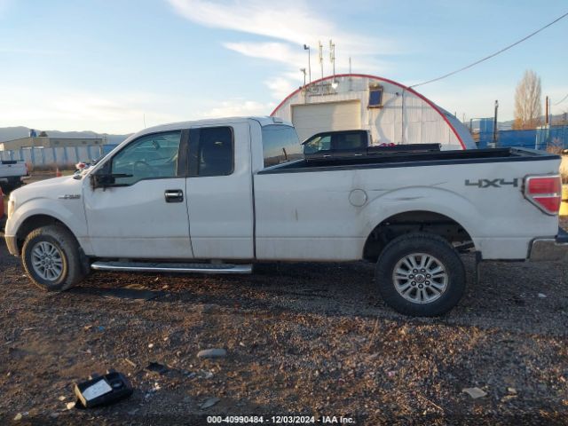 1FTVX1EF5EKD86852 Ford F-150 Xlt