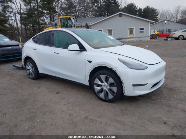 2021 TESLA MODEL Y 5YJYGDEE7MF202948 Photo 0
