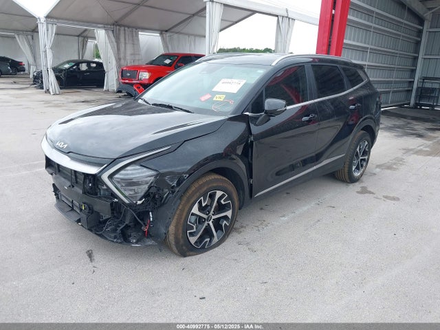 KNDPVCDG0R7132642 KIA Sportage Hybrid Ex