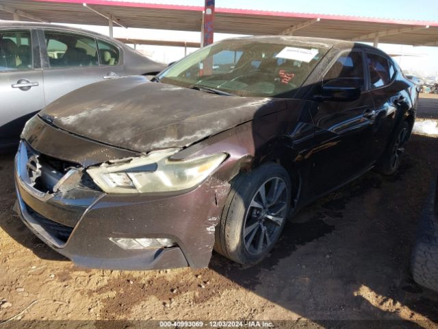 1N4AA6AP6GC417265 Nissan Maxima 3.5 S