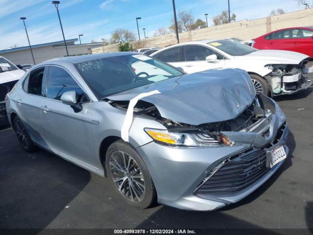 4T1F31AKXLU532369 Toyota Camry Xle Hybrid