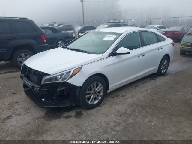 5NPE24AF8HH521010 Hyundai Sonata