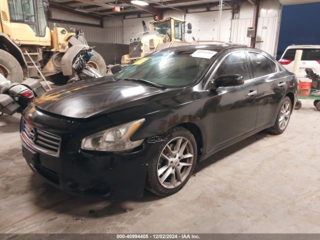 1N4AA5AP2EC465143 Nissan Maxima 3.5 S/3.5 Sv