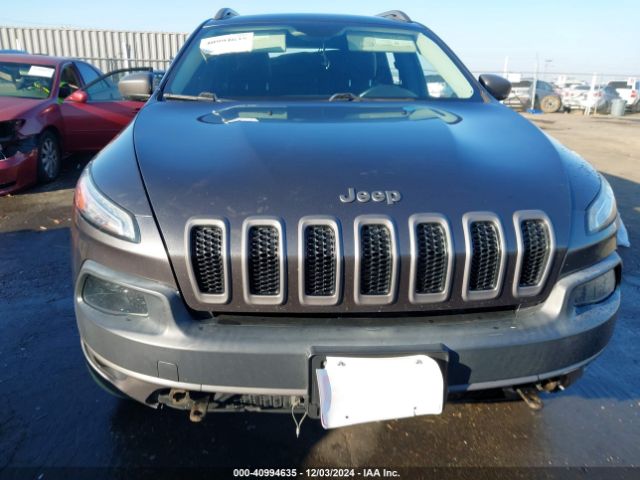 1C4PJMBS6FW569863 Jeep Cherokee Trailhawk