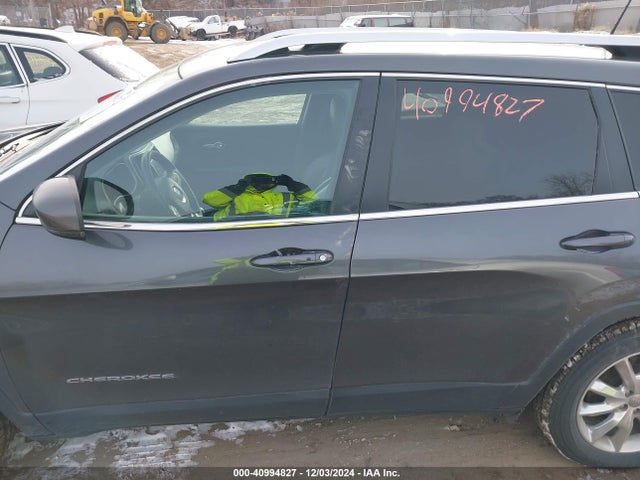 Jeep Cherokee Limited 2016 1C4PJMDS0GW241465 Image 14