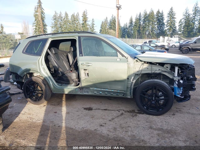 KIA Telluride Ex X-line 2024 5XYP3DGC2RG472172 Image 14