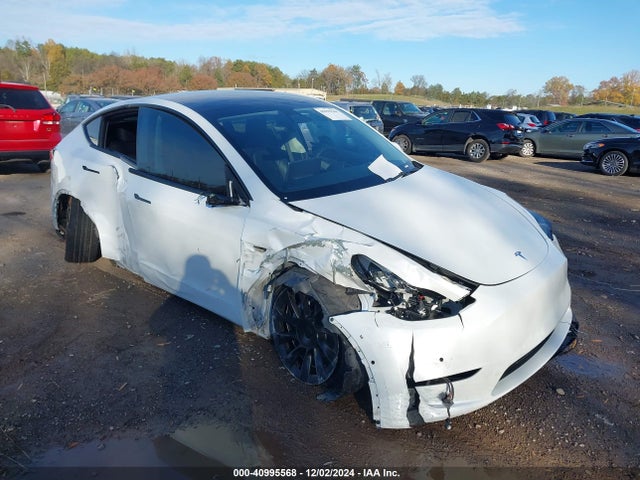 2021 TESLA MODEL Y 5YJYGAEEXMF185304 Photo 0