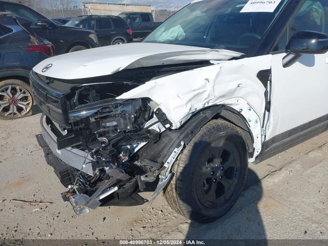 Hyundai Santa Fe Xrt 2024 5NMP3DGLXRH025398 Image 6