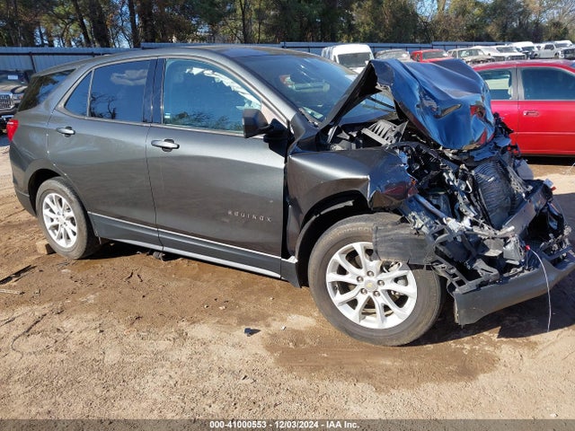Chevrolet EQUINOX LS 2019 2GNAXHEV8K6215128 Image 1