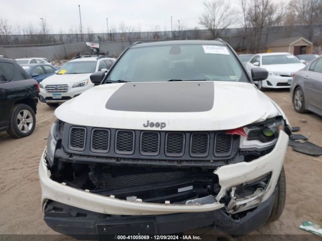 3C4NJDDB0KT729501 Jeep Compass Trailhawk 4x4