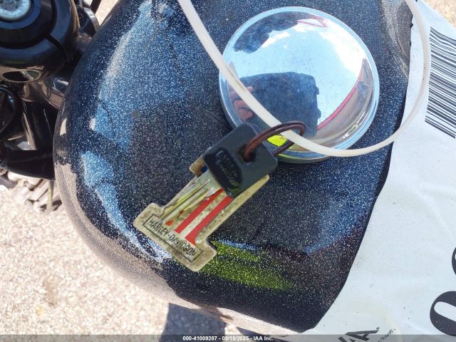 2014 HARLEY-DAVIDSON XL1200 1HD1LC319EC400130 Photo 10